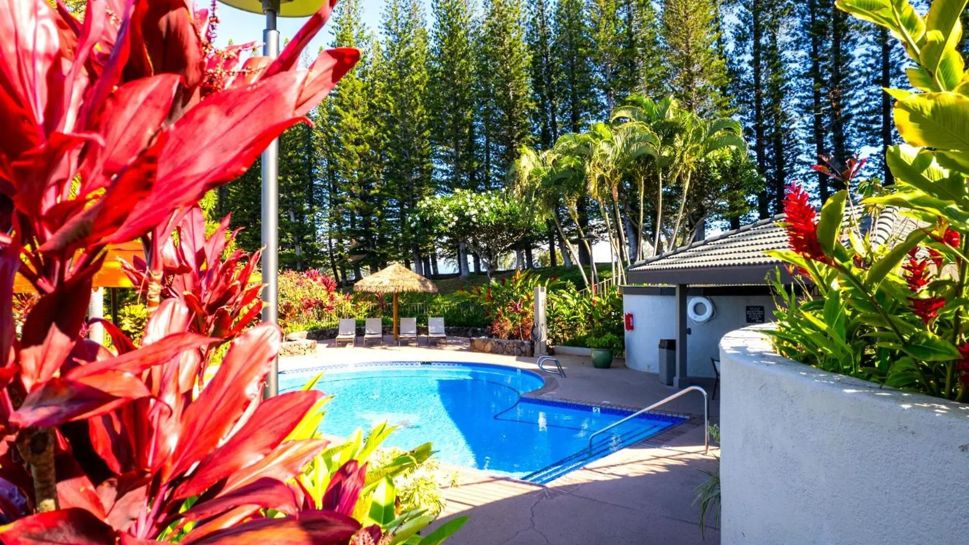 شقة Kbm Resorts Free Car Kapalua Golf Villa Kgv-14P3 Beautiful Fairway Views