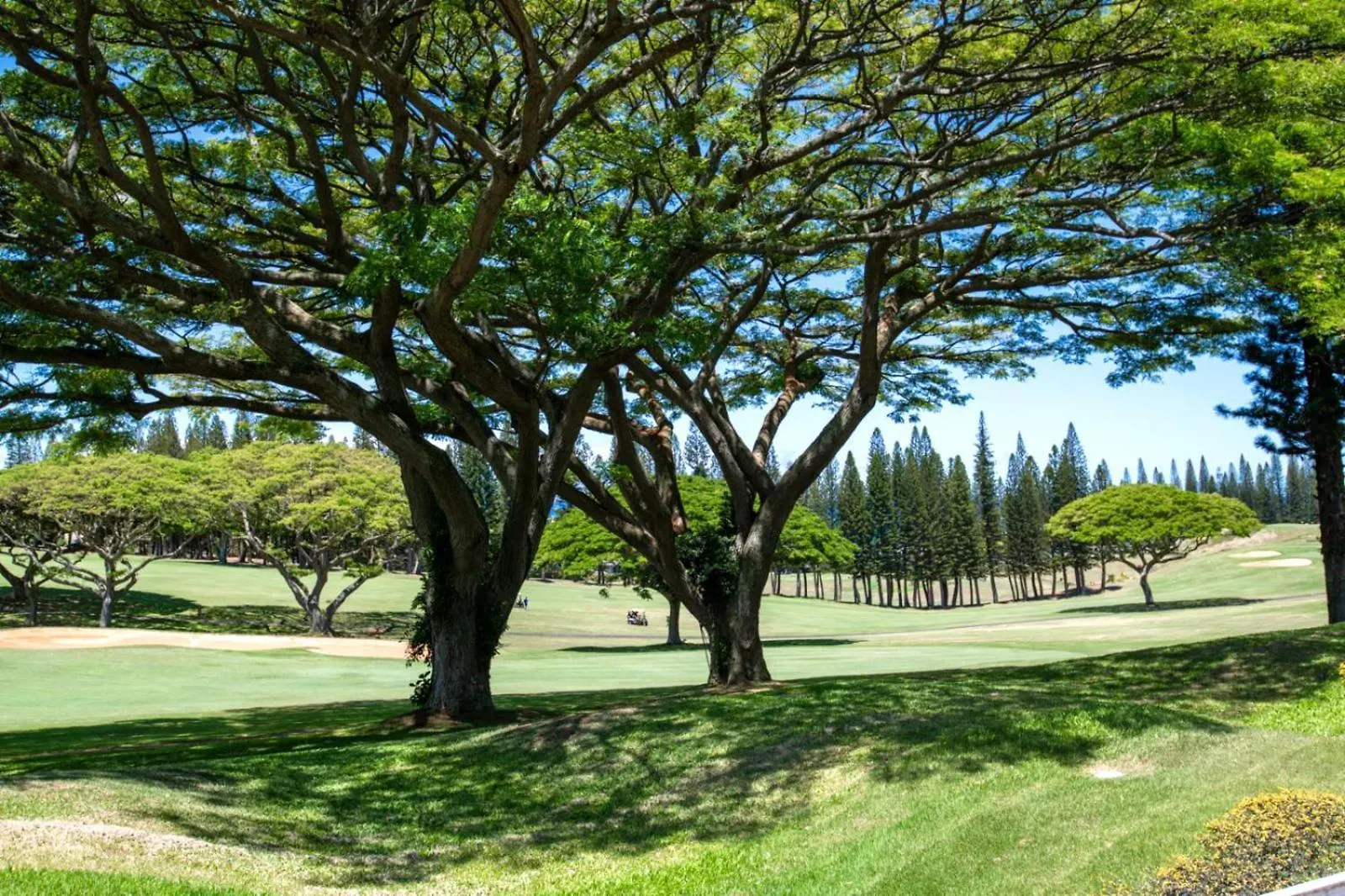 Kbm Resorts Free Car Kapalua Golf Villa Kgv-14P3 Beautiful Fairway Views